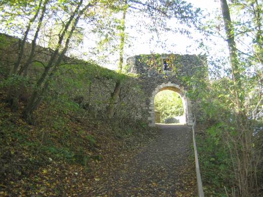 Burg Heiligenburg 1