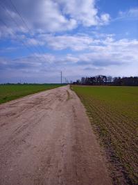 Die norddeutsche Steppe