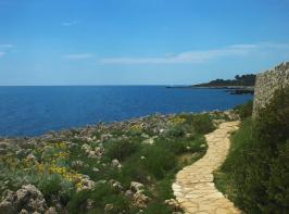 Une pittoresque vue sur le cap