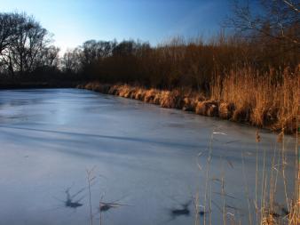 Der falsche Teich