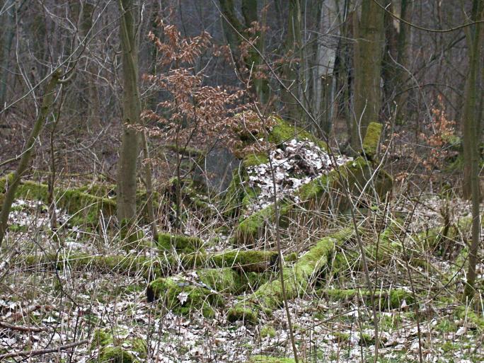 Niedergegangen in Ruinen