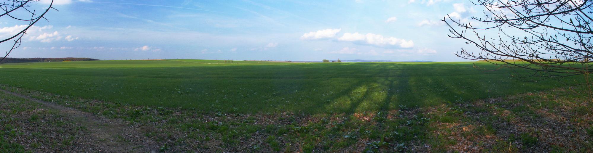 Blick aus dem Lechlumer Holz samt blauem Himmel