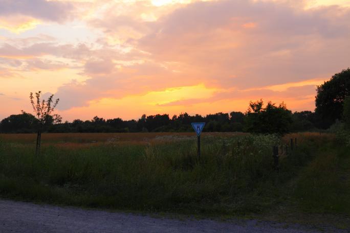 Sonnenuntergang am Feuerbergweg