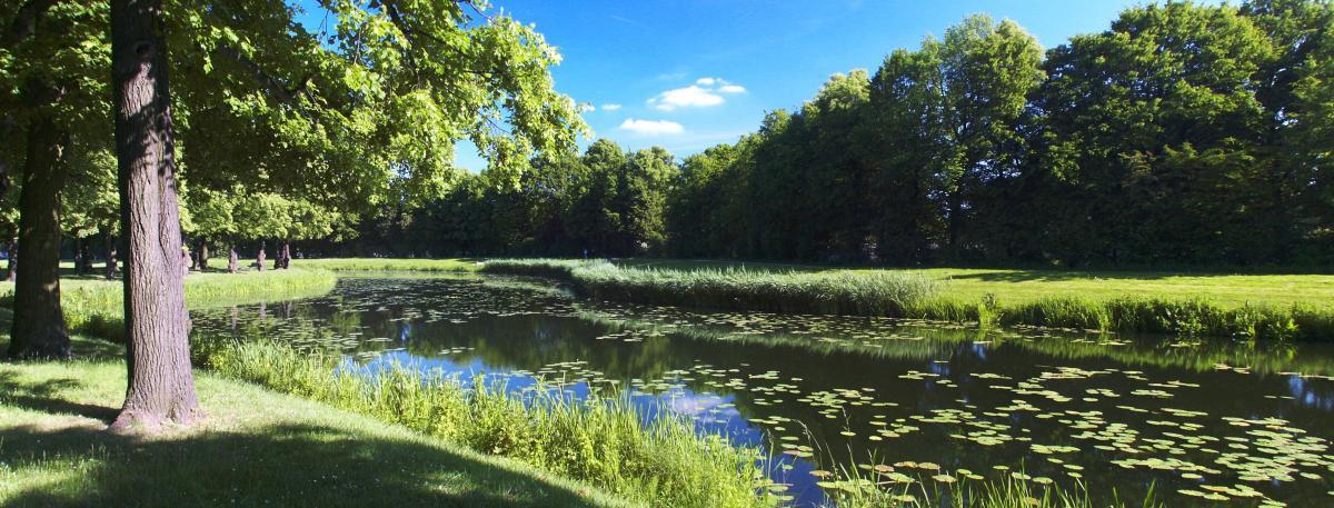 Der panoramische Teich