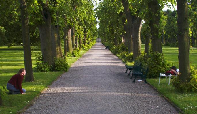 Weg durch den Berggarten